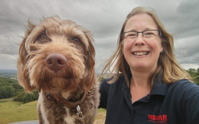 Pet Nutrition Advice