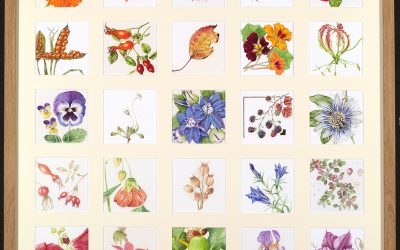 Botanical Treasures Exhibition, Demonstrations, Talks