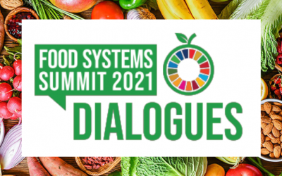 Food Systems Summit Dialogue