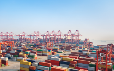 ChamberCustoms new webinars