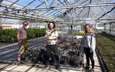 Team from RHS Garden Wisley pick-up more donated Mangaves from Wyevale Nurseries