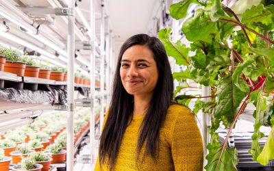 Pershore College to showcase technological advancements in horticulture