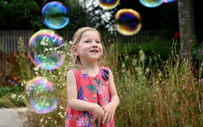 Save Money and Plan for the Future with Free Will Writing Scheme from Acorns