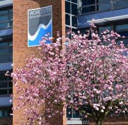 Worcester Sixth Form College announced as winner in National Awards