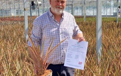 Wyevale Nurseries highlights importance of plant health and biosecurity to customers