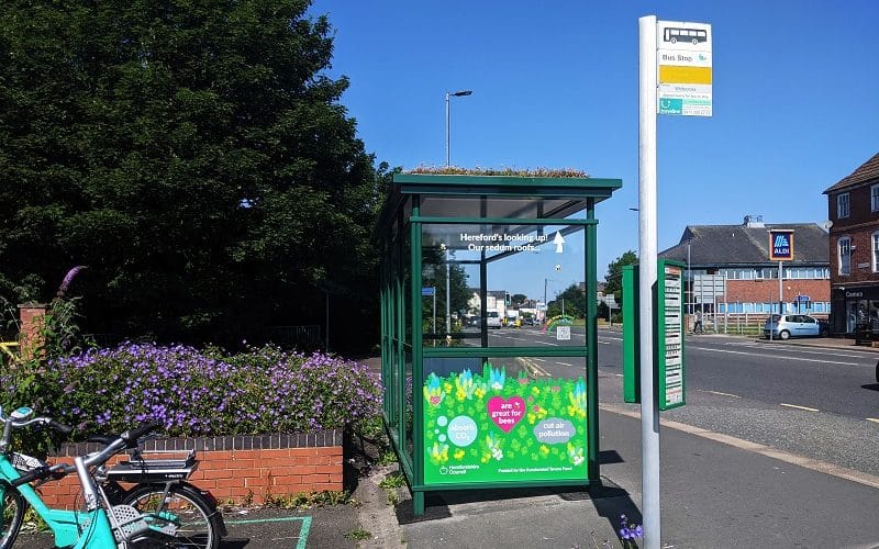 Hereford’s new bee-friendly bus stops