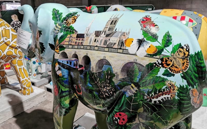 Chamber’s Nelly unveiled for Elephant parade
