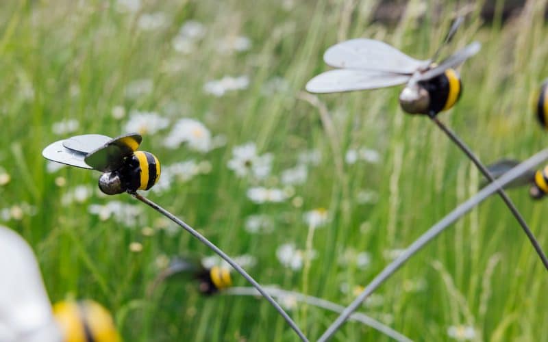 Beautiful bees to create a buzz at The Hive for hospice
