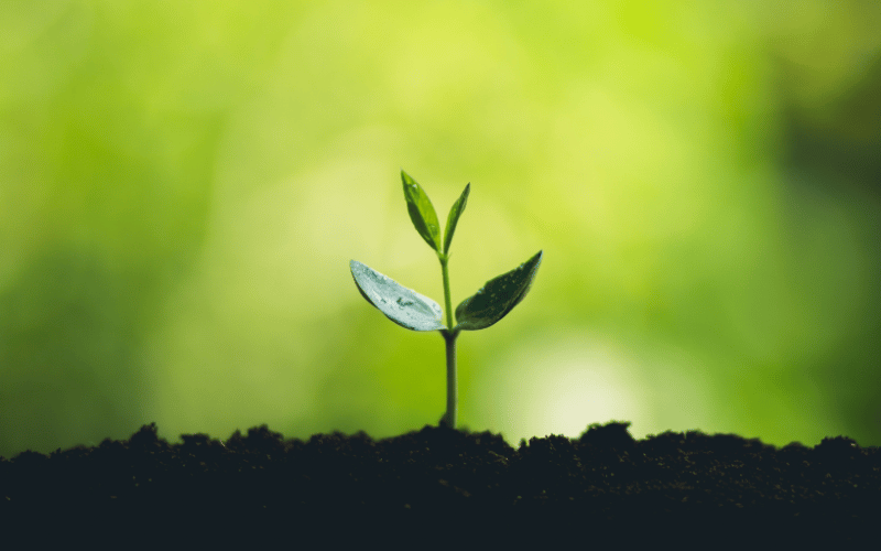 Applications open for Herefordshire Climate and Nature Partnership Board