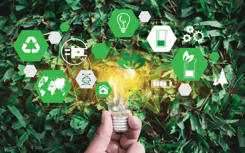 Upcoming sustainability events for businesses