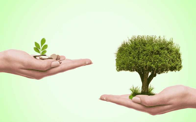 Grant funding available for projects that support climate change