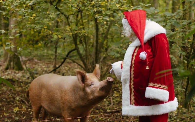 Santa swaps sleigh for a Land Rover… Quite clearly Crumplebury