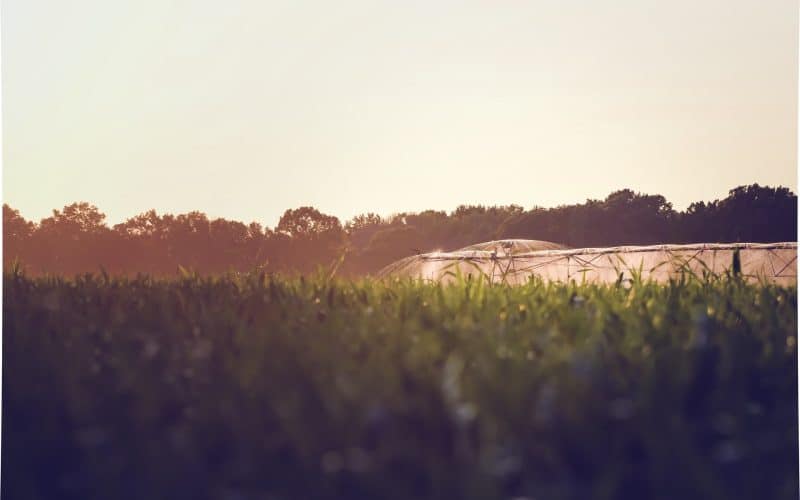 £27 million for farmers to boost productivity