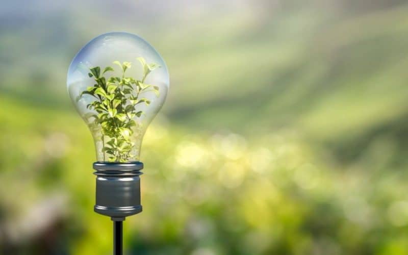 Green Skills Week and Queen’s Green Canopy project coming to Worcestershire