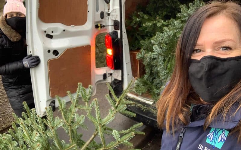 Hospice tree recycling campaign returns