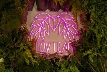 Löv Leaf plants roots in Hereford