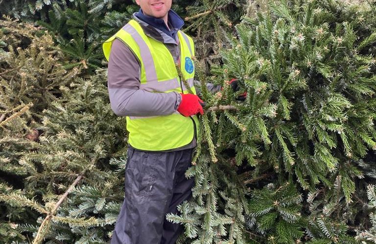 Christmas Tree collections raise record amount for  St Michael’s Hospice