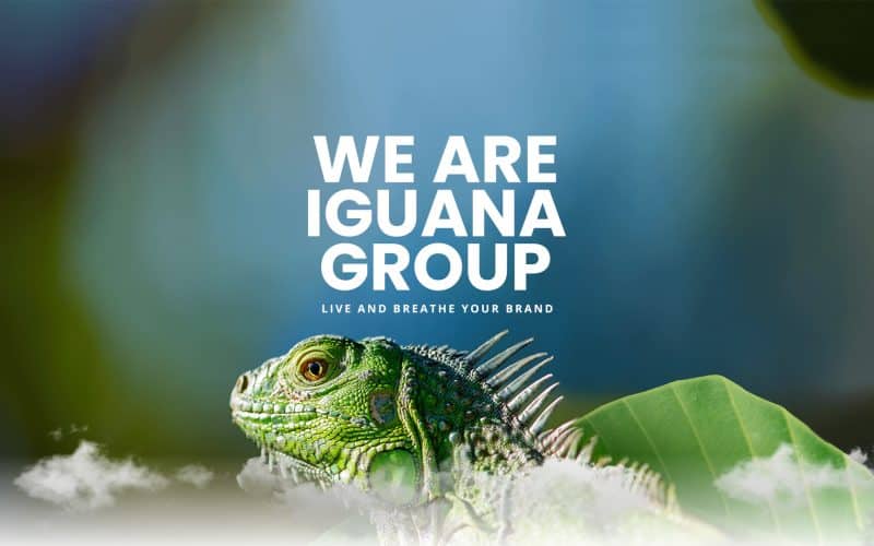 Introducing Iguana Group