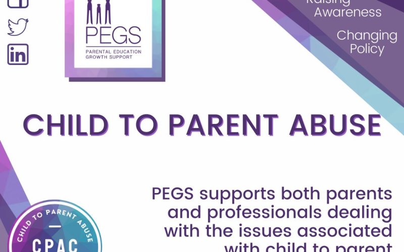 The child to parent abuse Conference