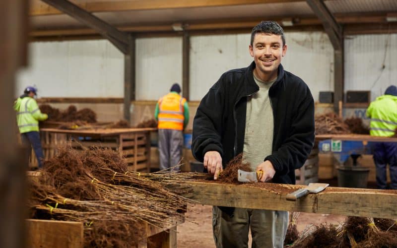 Cian takes root & grows into senior role at Wyevale Nurseries