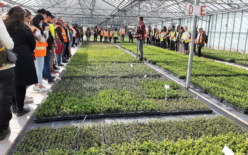 Landscape architect students take a tour of Wyevale Nurseries
