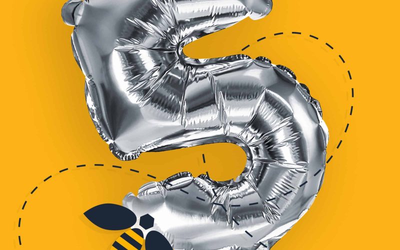 Bees Knees Marketing celebrates 5 years in business with award nomination