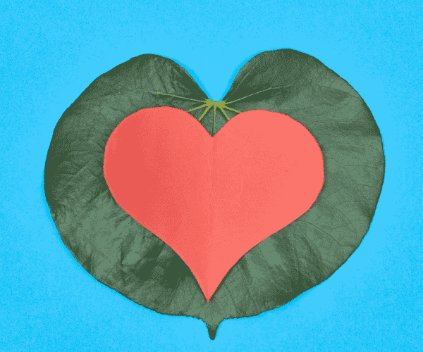 Free getting started advice for aspiring B Corps.