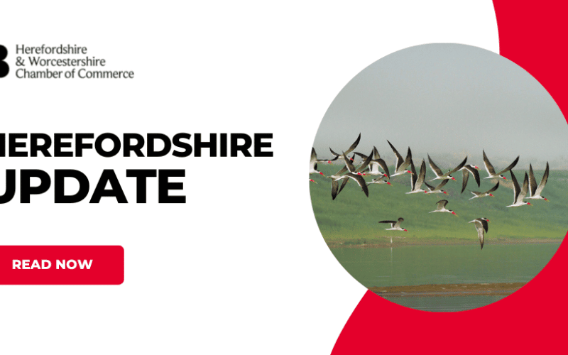 Herefordshire Council Update about Avian Flu