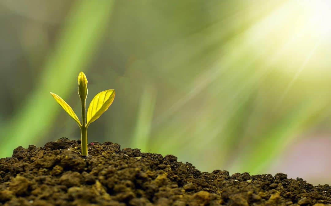 Grow your Business 