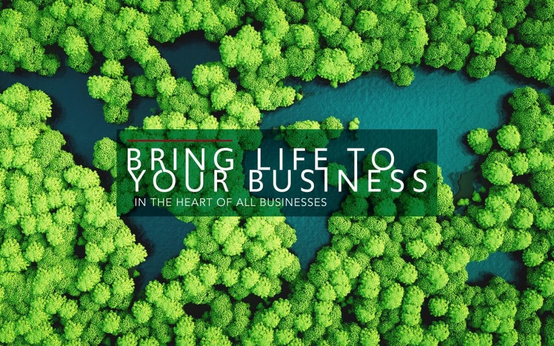 Organic SEO support for your business; the need for sustainable approaches and sharing B2B