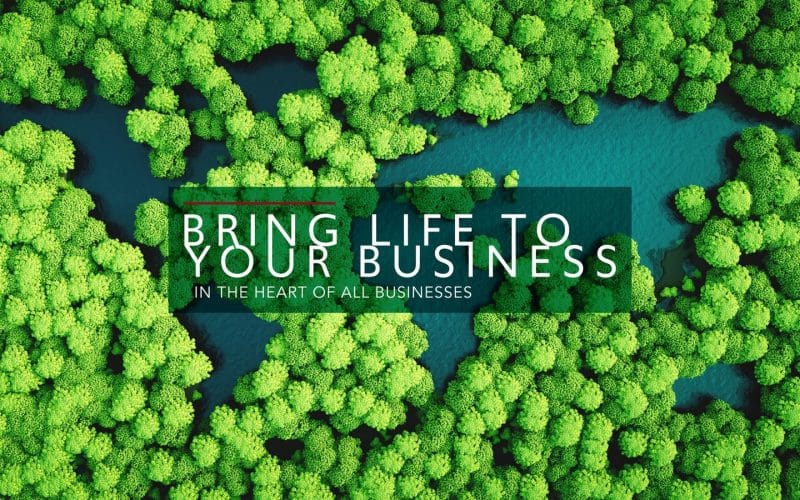 Organic SEO support for your business; the need for sustainable approaches and sharing B2B