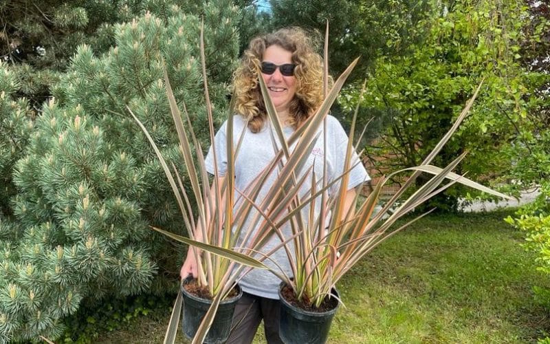 Linda wins competition to name new phormium