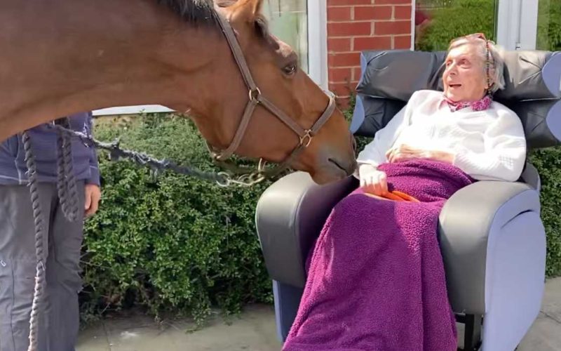 Herefordshire Care Home Resident Reunites with Beloved Horse at Kington Court