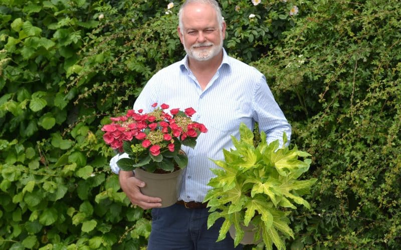 Wyevale Nurseries puts five new plants up for National Plant Show awards
