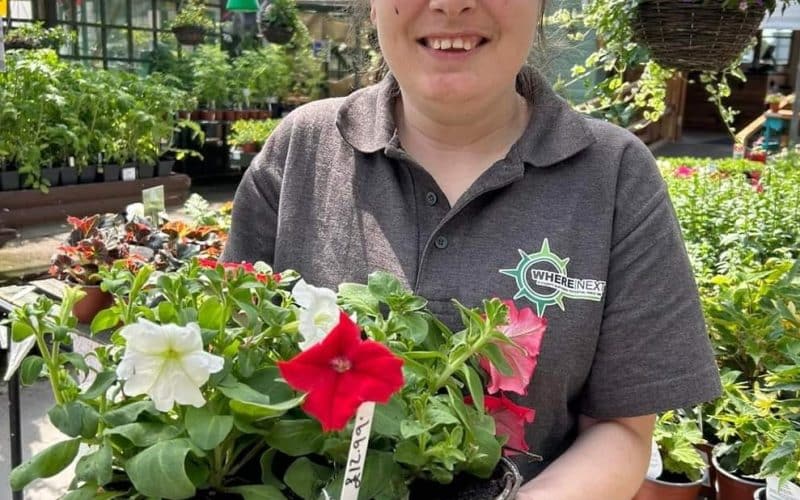 Introducing ‘Where Next’ to Chamber Membership!