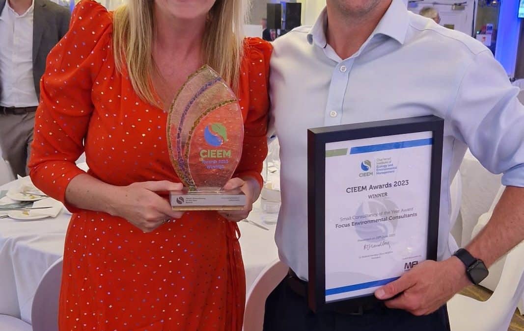 Focus Environmental Consultants Wins ‘Small Consultancy of the Year’
