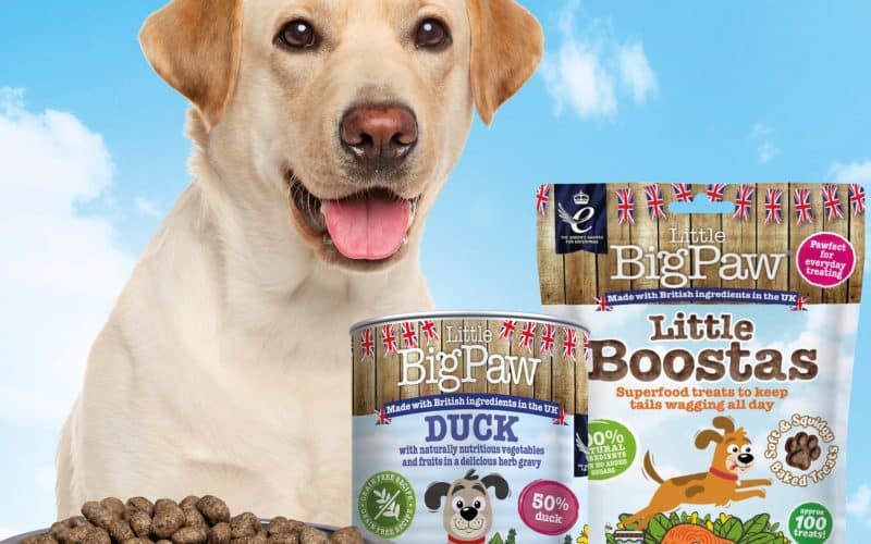 Little BigPaw Awarded the Kings Award for Enterprise.