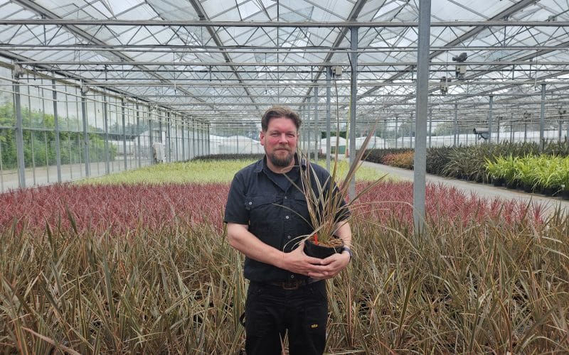 Wyevale Nurseries appoints new Purchaser