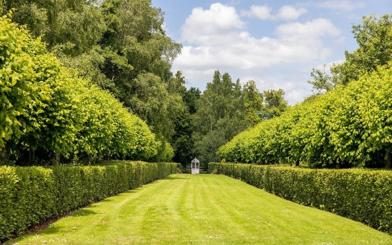 Weddings to be held in grounds of Pershore College as part of new partnership