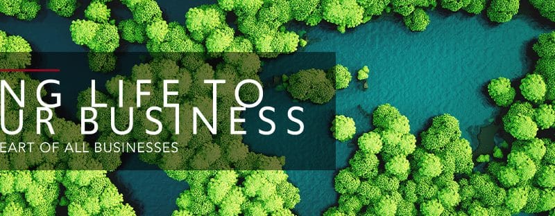 How Do the Sustainable Development Goals Link to my Business?