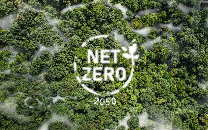 Navigating the UK’s Evolving Net Zero Plan