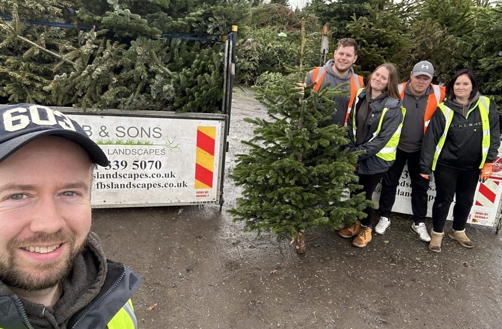 Landscaping Firm to Take Part in Christmas Tree Recycling Efforts for Local Hospice