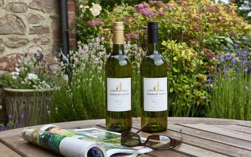 Chance to Tour Award-winning Herefordshire Vineyard for Free to Celebrate English Wine Week