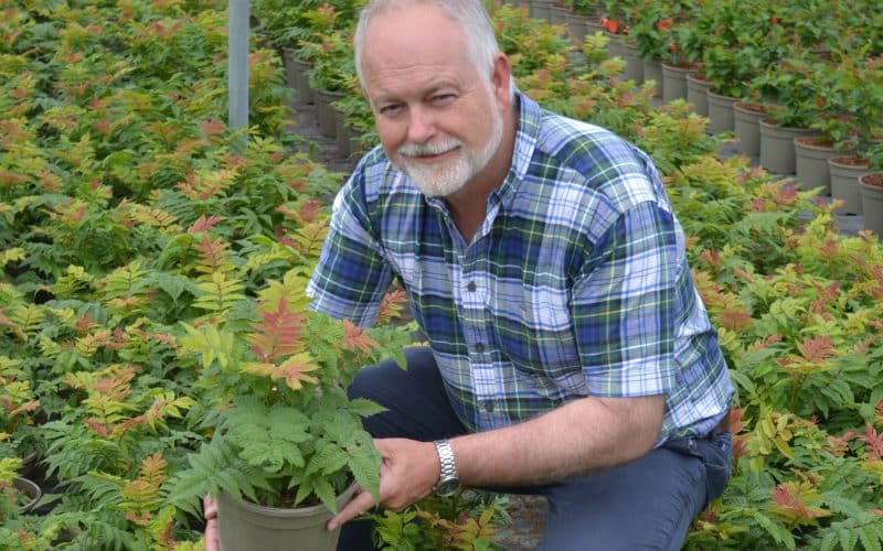 Wyevale Nurseries puts up Seven Entries for the HTA National Plant Show’s New Plant Awards