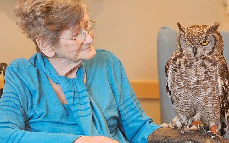 Feathered Friends Flock to Celebrate Di’s 90th Birthday
