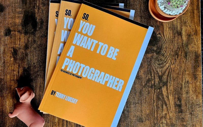 New Book “So You Want to be a Photographer: The Business of Photography” by Terry Livesey Now on Amazon