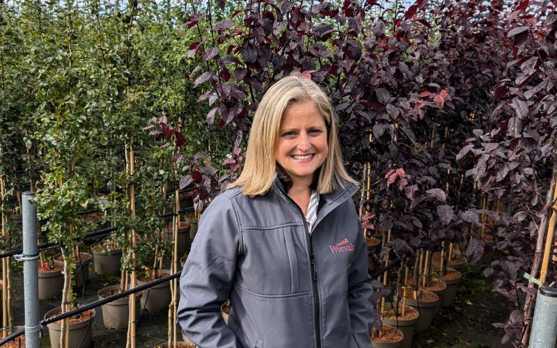 Kersten Catella joins Wyevale Nurseries as Sales & Marketing Director