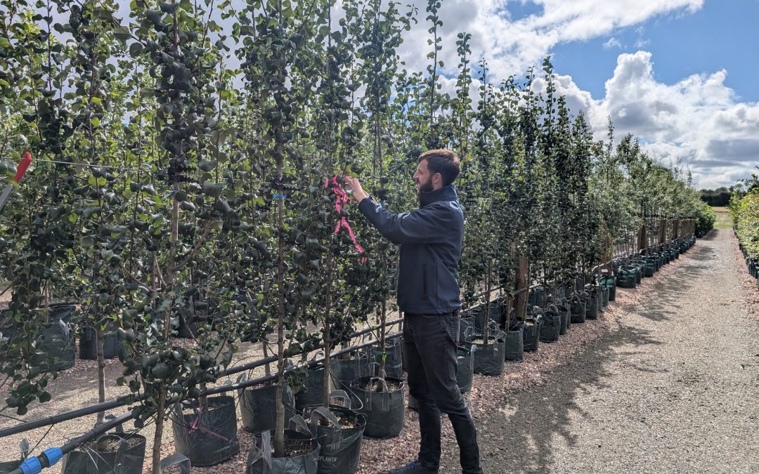 Wyevale Nurseries to showcase ‘Best of British’ at FutureScape in October