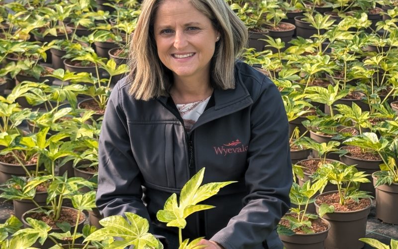 Wyevale Nurseries’ Sales & Marketing Director Kersten Catella to be keynote speaker at Women in Horticulture event