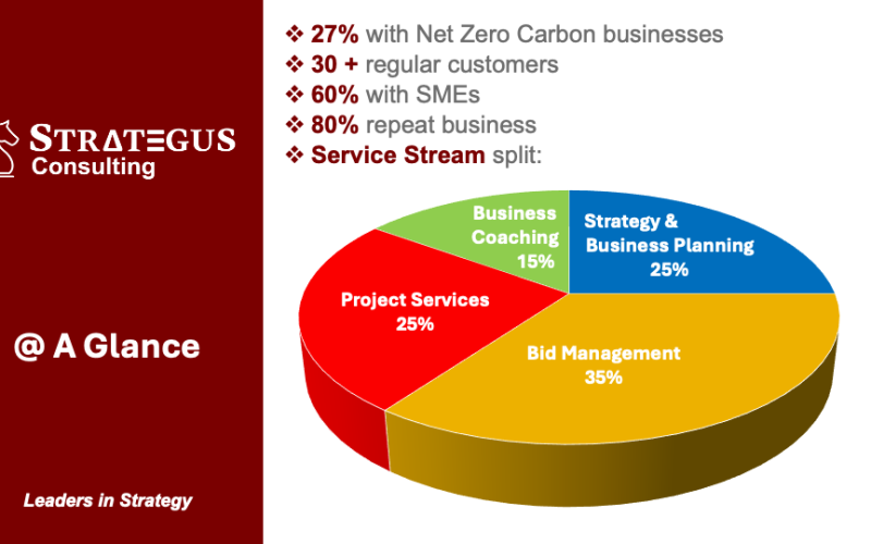 Leadership Consultancy, Strategus Consulting, Record Another Successful Year